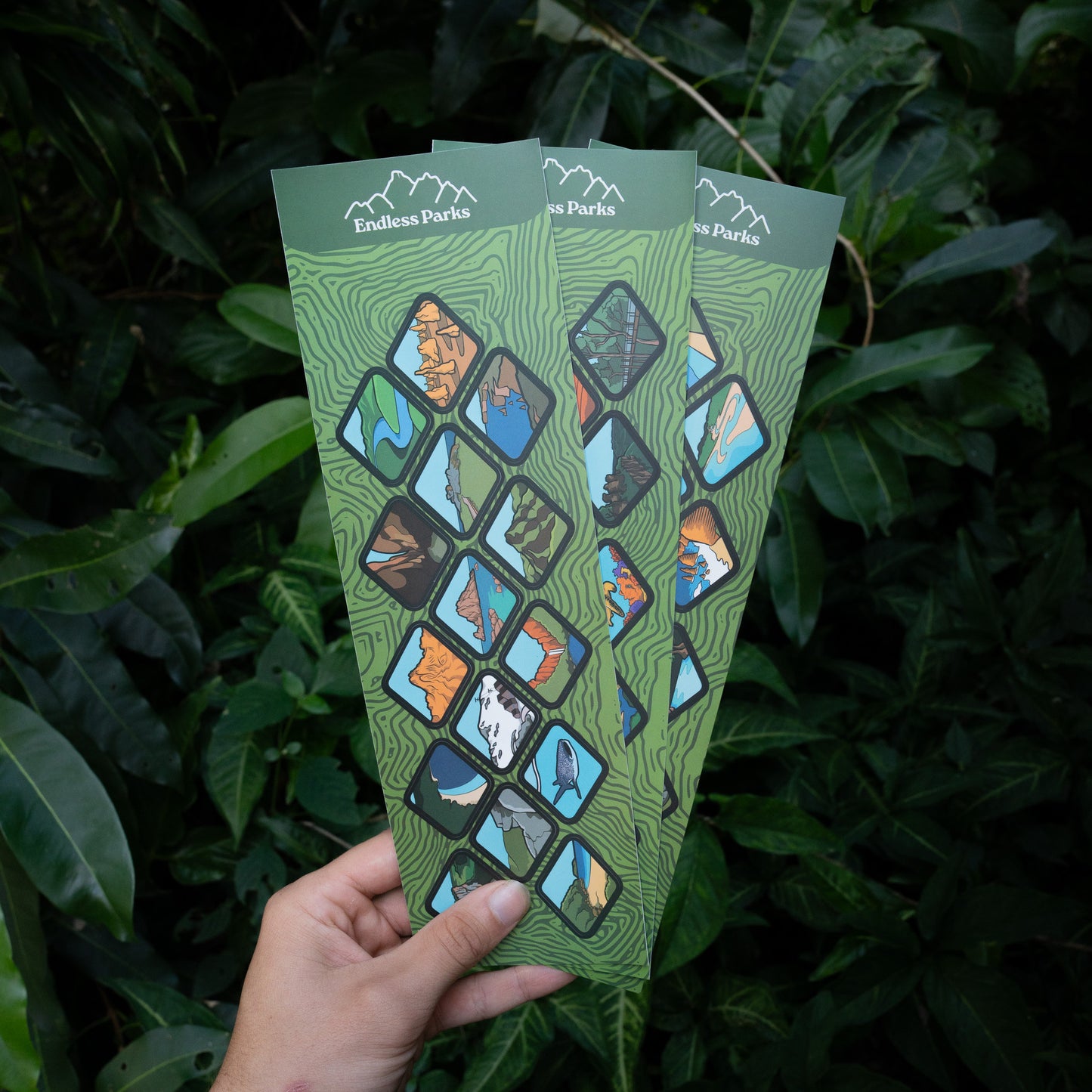 Australian National Parks Bottle